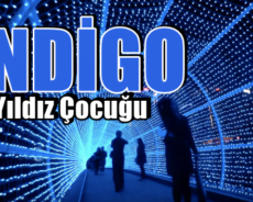 İndigo Yıldız Çocuğu – Bu Özgür Düşünen Bireylerden Misiniz?