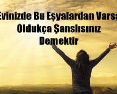 Evinizde Bu Eşyalardan Varsa Oldukça Şanslısınız Demektir