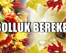 HAYATINIZI SONSUZA KADAR DEĞİŞTİRECEK 20 EVRENSEL YASA. BOLLUK BEREKET VE REFAH YASALARI