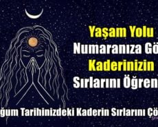 Yaşam Yolu Numaranıza Göre Kaderinizin Sırlarını Öğrenin veya Yaşam Yolu Numarası – Doğum Tarihinizdeki Kaderin Sırlarını Çözün