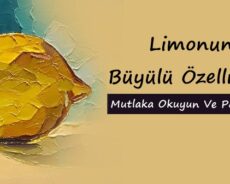 Limonun Büyülü Özellikleri – Mutlaka Okuyun Ve Paylaşın!!!