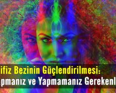 Epifiz Bezinin Güçlendirilmesi: Yapmanız ve Yapmamanız Gerekenler