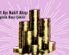 Şubat Ayı Nakit Akışı: Zenginlik Nasıl Çekilir