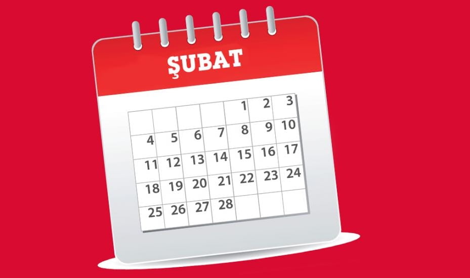 şubat