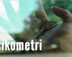Nesnelere Dokunarak Sahiplerinin Geçmişini Öğrenme Yeteneğinizi Geliştirin