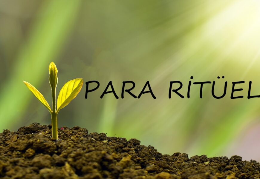 Bu Ritüel Hayatına Zenginlik Çekecek