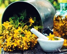Sarı Kantaronun ( St. John’s Wort ) Hiç Bilmediğin Faydalı Özellikleri