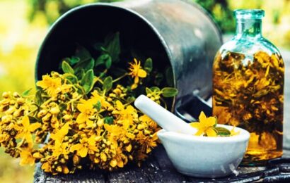 Sarı Kantaronun ( St. John’s Wort ) Hiç Bilmediğin Faydalı Özellikleri