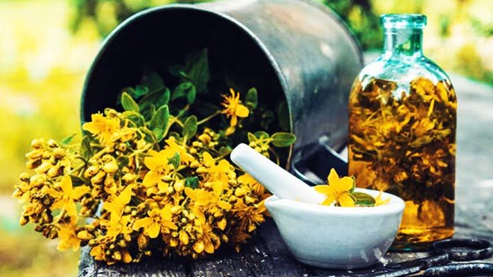 Sarı Kantaronun ( St. John’s Wort ) Hiç Bilmediğin Faydalı Özellikleri