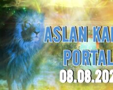 08.08 Aslan Kapısı Portalı