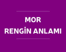 Mor Rengin Anlamı, Enerjisi Ve Faydaları