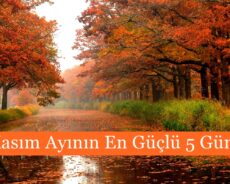 Kasım Ayının En Güçlü 5 Günü