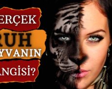 Burcuna Göre Gerçek Ruh Hayvanının Ne Olduğunu Öğren