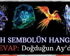 Ruh Sembolün Nedir? Cevap Doğduğun Ayda