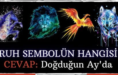 Ruh Sembolün Nedir? Cevap Doğduğun Ayda