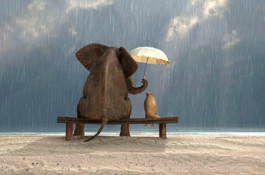 Nezaket ve Sevgi: Kelimeler Beynimizi Nasıl Değiştirir? Nezaket ve Sevgi: Kelimeler Beynimizi Nasıl Değiştirir?