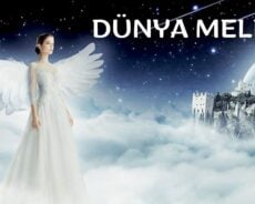 Dünya Meleği Nedir? Yoksa Sende Onlardan Biri Misin?