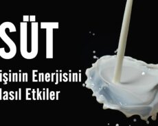 Süt Bir Kişinin Enerjisini Nasıl Etkiler