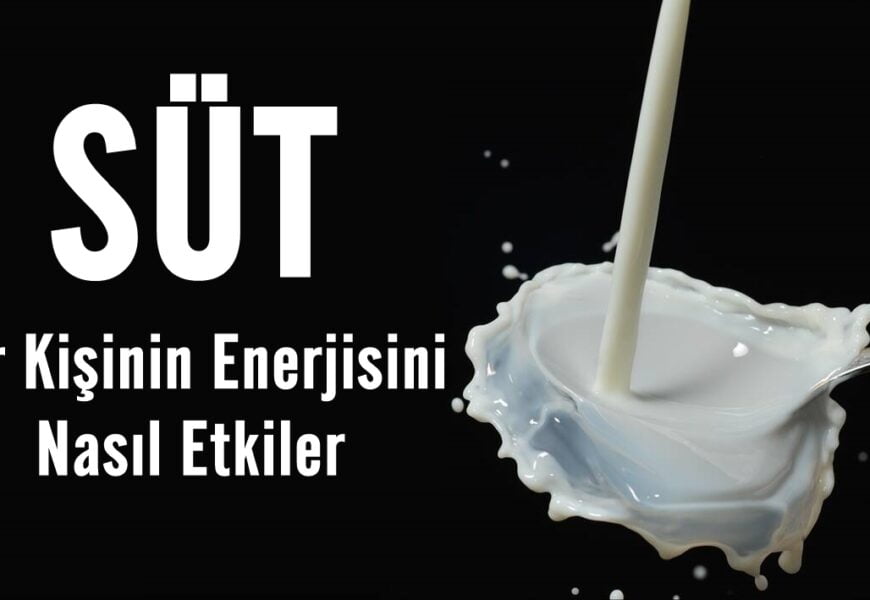Süt Bir Kişinin Enerjisini Nasıl Etkiler