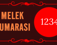 GÖRMEYE DEVAM ETTİĞİN MELEK SAYISI 1234’ÜN ARKASINDAKİ MANEVİ ANLAM
