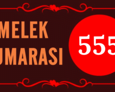 GÖRMEYE DEVAM ETTİĞİN MELEK SAYISI 555’İN ARKASINDAKİ MANEVİ ANLAM