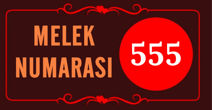 GÖRMEYE DEVAM ETTİĞİN MELEK SAYISI 555’İN ARKASINDAKİ MANEVİ ANLAM