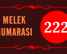 GÖRMEYE DEVAM ETTİĞİN MELEK SAYISI 222’NİN ARKASINDAKİ MANEVİ ANLAM