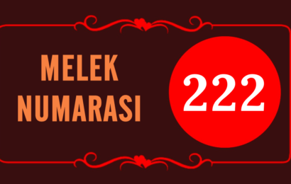 GÖRMEYE DEVAM ETTİĞİN MELEK SAYISI 222’NİN ARKASINDAKİ MANEVİ ANLAM