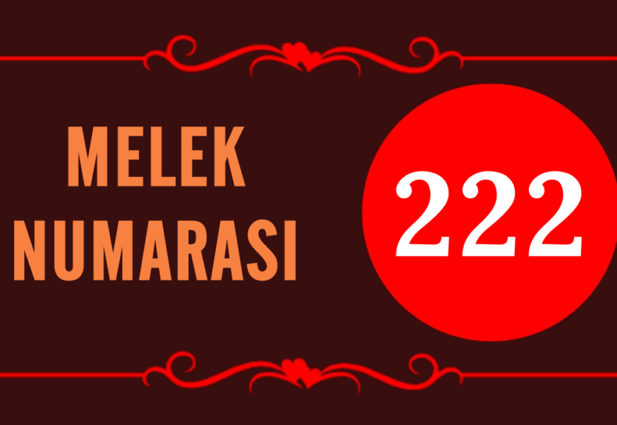 GÖRMEYE DEVAM ETTİĞİN MELEK SAYISI 222’NİN ARKASINDAKİ MANEVİ ANLAM