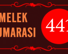 GÖRMEYE DEVAM ETTİĞİN MELEK SAYISI 411’İN ARKASINDAKİ MANEVİ ANLAM