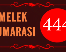 GÖRMEYE DEVAM ETTİĞİN MELEK SAYISI 444’ÜN ARKASINDAKİ MANEVİ ANLAM