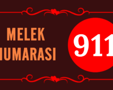 GÖRMEYE DEVAM ETTİĞİN MELEK SAYISI 911’İN ARKASINDAKİ MANEVİ ANLAM