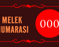 GÖRMEYE DEVAM ETTİĞİN MELEK SAYISI 000’IN ARKASINDAKİ MANEVİ ANLAM