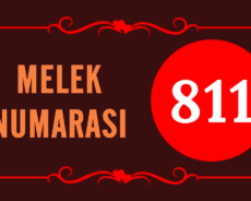 Melek Numarası 811: Aşk, İkiz Alevler Ve Ruh Eşleri İçin Ne Anlama Geliyor