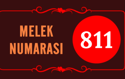 Melek Numarası 811: Aşk, İkiz Alevler Ve Ruh Eşleri İçin Ne Anlama Geliyor