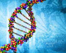 Güçlü Görselleştirme Tekniği – DNA Akış Ağacı