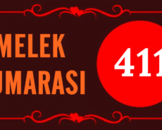411 Melek Numarası Aşk Ve İlişkiler İçin Ne Anlama Geliyor?