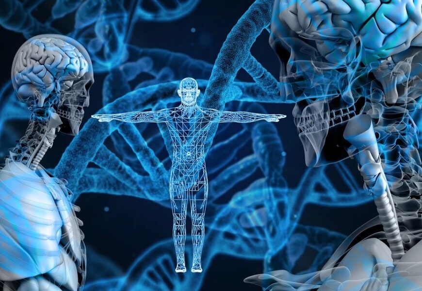 Yaşadığınız DNA Yükseltmesi Hakkında Önemli Gerçekler