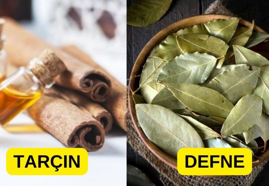Defne yaprağı, Tarçın ve Mutfağınızda Bulunması Gereken Diğer Güçlü Tılsımlar Defne yaprağı, Tarçın ve Mutfağınızda Bulunması Gereken Diğer Güçlü Tılsımlar